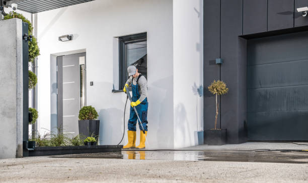 Best Soft Washing  in North Fort Lewis, WA